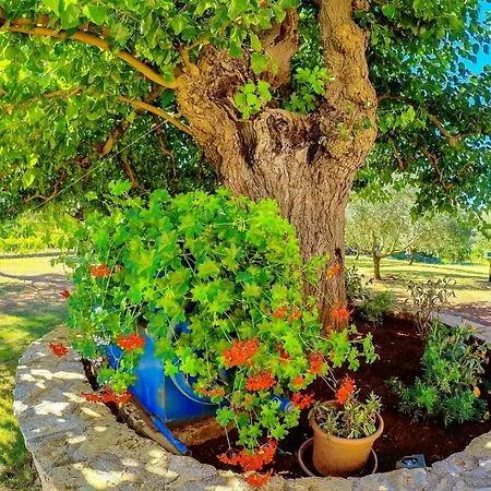 Gianni Апартаменты *