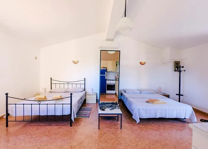 Gianni Lägenhet Vižinada